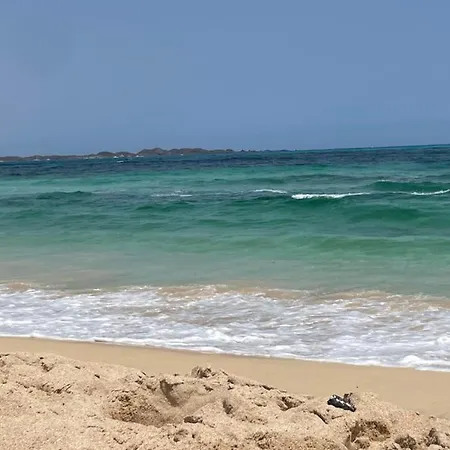 Stenath La Oliva